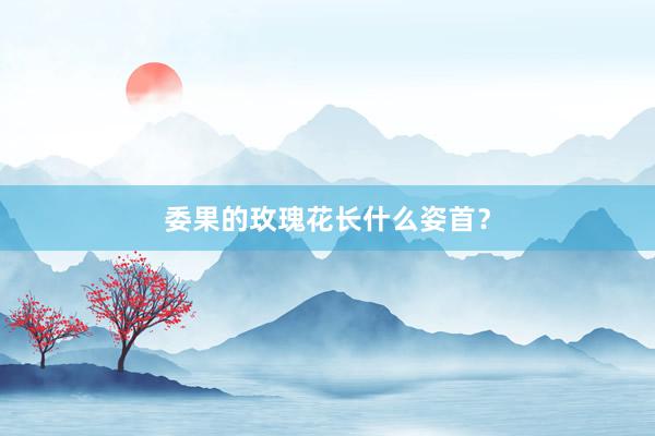 委果的玫瑰花长什么姿首?