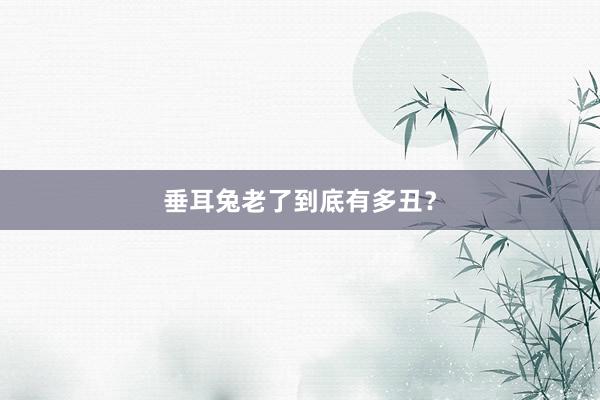 垂耳兔老了到底有多丑？